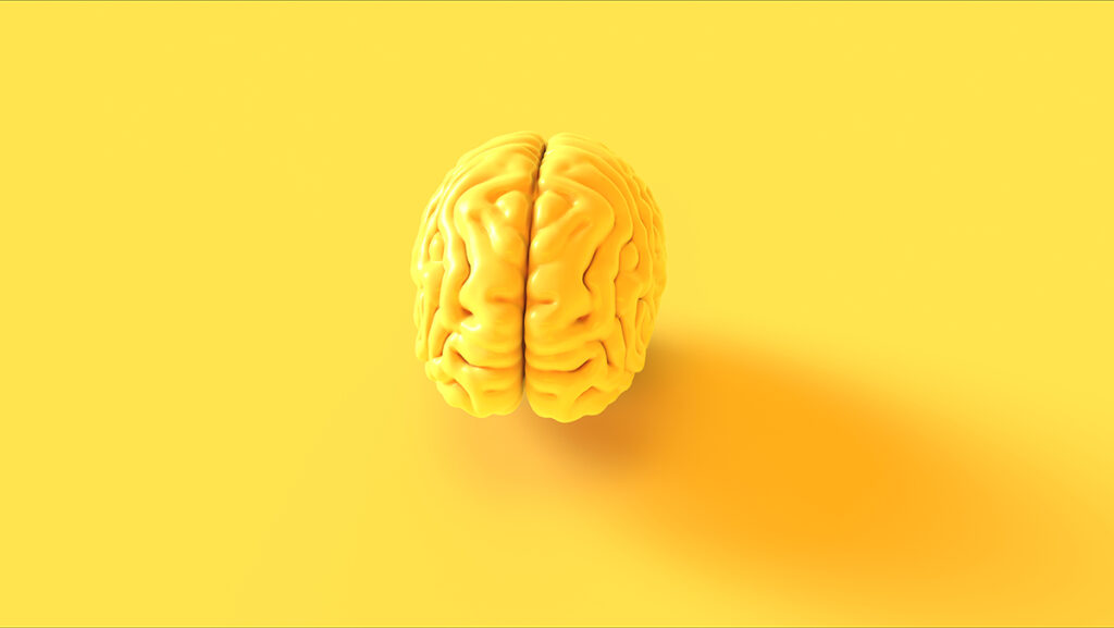 Modele anatomiczne w obrębie współczesnych form edukacji i działalności zdrowotnej